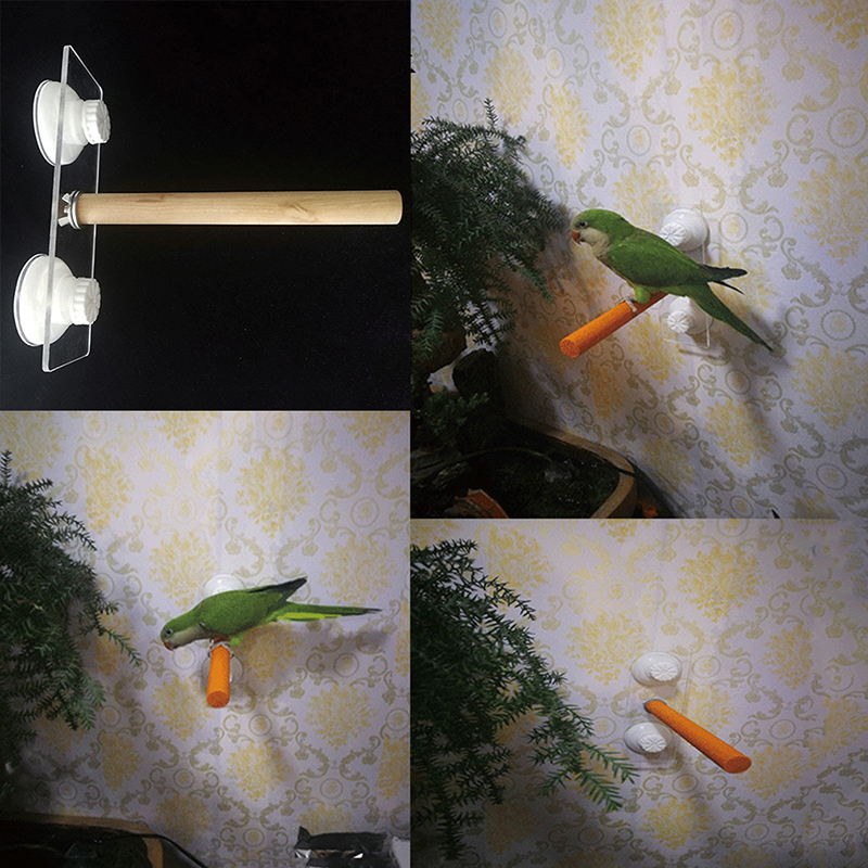 Parrot Pet Raw Standing Stick  - огляд і ціна Pet X Supplies & Tack