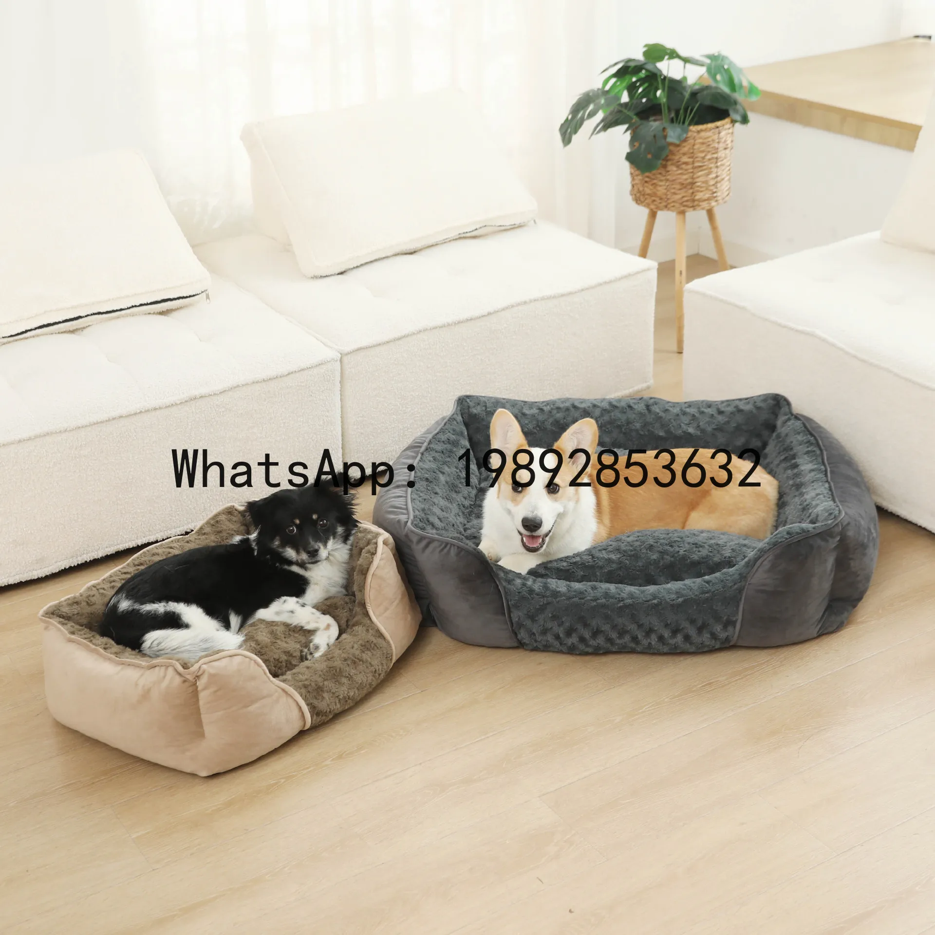 X cat house semi-enclosed dog  - огляд і ціна Pet X Supplies & Tack