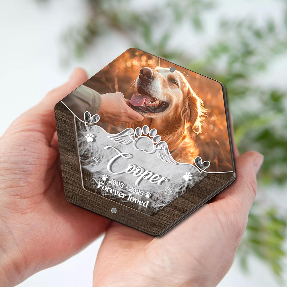 Personalized Name Wooden Carvi - огляд і ціна Pet Supplies Direct