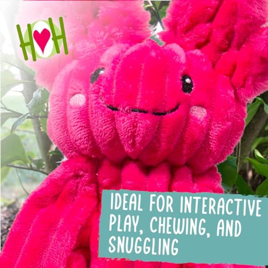 X-Brace Squeaky Dog Toy - Inte - огляд і ціна Pet X Supplies & Tack