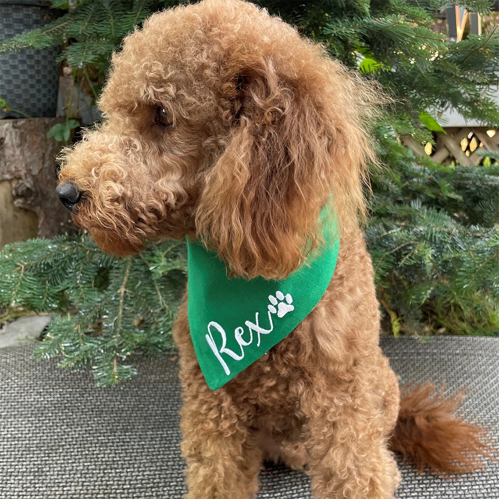 Personalized name Dog Christma - огляд і ціна Pet Supplies Direct